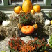 Sharon York Photo 27