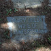 Emmett Brennan Photo 8