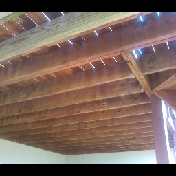 Susan Dinges Photo 5