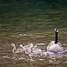 Mark Hessian Photo 8