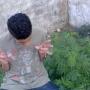 Raj Sharma Photo 14