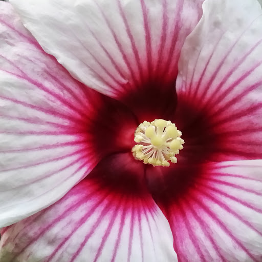 Amy Olsen Photo 23