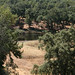Kelly Osborn Photo 43