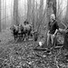 Floyd Wood Photo 34