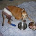 Goldie Staples Photo 5