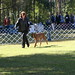 Bonita Snodgrass Photo 5