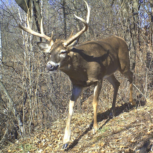 Pat Bennett Photo 19
