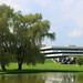 Donald Moore Photo 24
