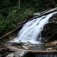 Debbie Ham Photo 11