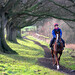 James Moffatt Photo 39