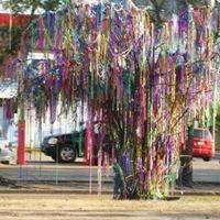 Carol Moran Photo 9
