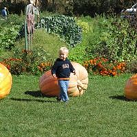 Kristy Albright Photo 7