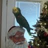 David Berryhill Photo 15