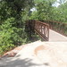 Terry Bridges Photo 25