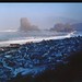 Boyd Miller Photo 17