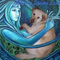 Carol Elmore Photo 8