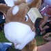 Michele Legare Photo 4