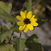 Bill Plant Photo 14