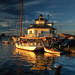 Michael Hooper Photo 28