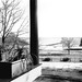 Frederick Summers Photo 15