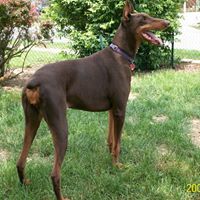 Nancy Worley Photo 17