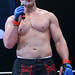 James York Photo 25
