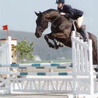 Katy Marshall Photo 16