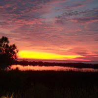Debra Hamilton Photo 32