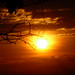 William Bonilla Photo 32