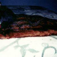 Roberta Greene Photo 23