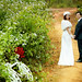 Viet Ha Photo 35