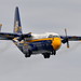 Albert Jones Photo 11