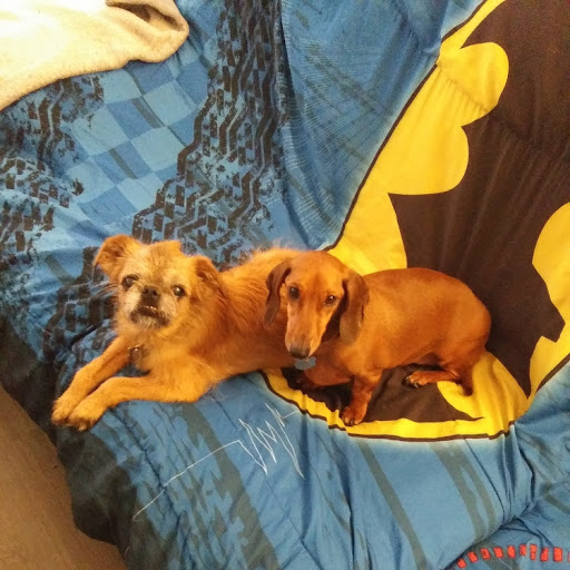 Barbara Gibbs Photo 24