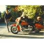 Michael Jacobson Photo 35