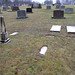 Joseph Mitchell Photo 16