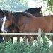 Noel Bell Photo 35