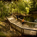 Renee Downing Photo 20