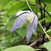 Paula Bowers Photo 28