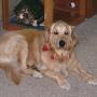 Barbara Schroeder Photo 10