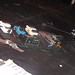 Michael Weinrich Photo 22