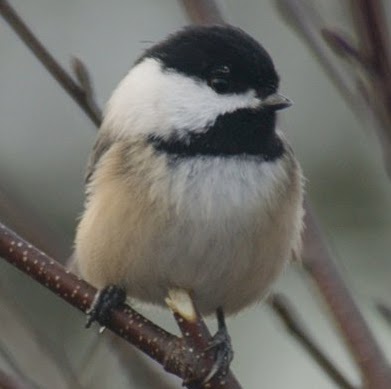 Eileen Strickland Photo 5