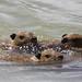Charles Reeder Photo 22
