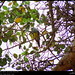Bruce Green Photo 14