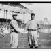 Joe York Photo 40