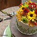 Susan Lutz Photo 18