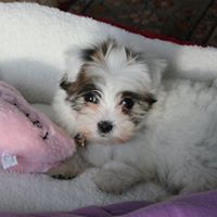 Beth Palumbo Photo 7