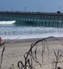 Anne Rhoden Photo 5