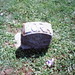 Lora Jones Photo 27