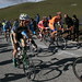 Scott Hayman Photo 26
