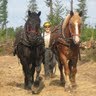 Heather Bruce Photo 28